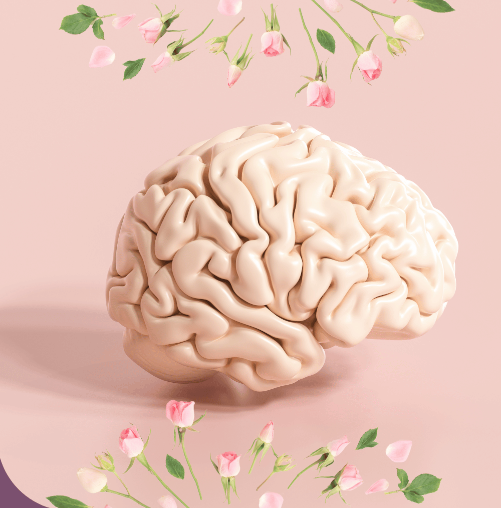 Un cerveau humain en bonne santé mentale.